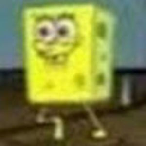 Meet your Posher, Anastasia